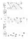 Fig. 03 - Machine data web