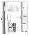 Fig. 06 - Automatically generating column layouts in electronic documents
