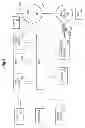 Fig. 07 - Automatically generating column layouts in electronic documents
