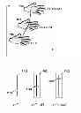 Fig. 01 - Gesture-based user-interface with user-feedback