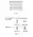 Fig. 08 - Method for exploiting massive parallelism