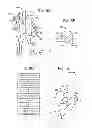 Fig. 07 - Managed biometric identity