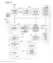 Fig. 08 - Profile and consent accrual