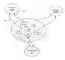 Fig. 01 - Dynamic enforcement of privacy settings by a social networking system on information shared with an external system