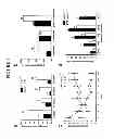Fig. 02 - Screening method