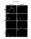 Fig. 06 - Screening method