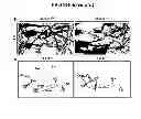 Fig. 08 - Screening method
