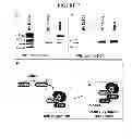 Fig. 09 - Screening method