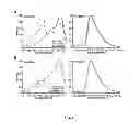 Fig. 02 - RAPIDLY MATURING FLUROSCENT PROTEINS AND METHODS FOR USING THE SAME