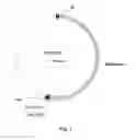 Fig. 02 - EXPRESSION ENHANCING INTRON SEQUENCES