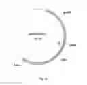 Fig. 04 - EXPRESSION ENHANCING INTRON SEQUENCES