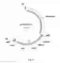 Fig. 05 - EXPRESSION ENHANCING INTRON SEQUENCES