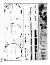 Fig. 03 - Methods and compositions for transgenic plants with enhanced resistance to biotic and abiotic stress