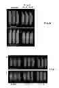 Fig. 05 - SPL16 compositions and methods to increase agronomic performance of plants