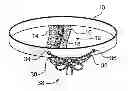 Fig. 01 - Underwear