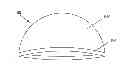 Fig. 01 - Padded Skull Cap