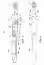 Fig. 02 - Fountain toothbrush