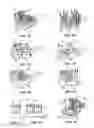 Fig. 07 - TOOTHBRUSH HEAD