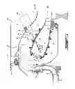 Fig. 03 - Laser-ignition combustor for gas turbine engine
