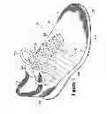 Fig. 02 - Feeder for knitting machine with friction reducing features