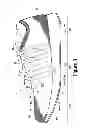 Fig. 04 - Feeder for knitting machine with friction reducing features