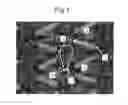 Fig. 02 - Stretch knitted fabric and clothes