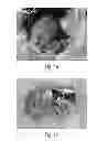 Fig. 02 - Nesting material baling and dispensing system for mouse environmental enrichment