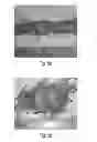 Fig. 07 - Nesting material baling and dispensing system for mouse environmental enrichment