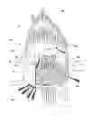 Fig. 01 - PELLET BURNING FIRE PIT