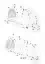 Fig. 09 - Patient interface device including a coating adhesive layer