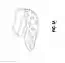 Fig. 02 - MOUTHGUARD AND FABRICATING METHOD THEREOF