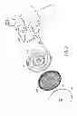 Fig. 11 - Pressure-regulating vial adaptors