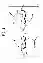 Fig. 02 - Chitin nanocrystal containing wellbore fluids