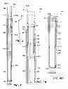 Fig. 04 - Method for deploying subsurface safety valve having integral pack off