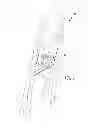 Fig. 02 - Step stool and method