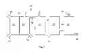 Fig. 03 - Osmotic desalination process