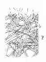 Fig. 02 - FILTER MATERIAL