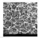 Fig. 01 - Mixed-Mode Chromatography Membranes
