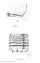 Fig. 08 - Plastic container