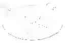 Fig. 01 - Rupture disc having laser-defined line of weakness with disc opening and anti-fragmentation control structures