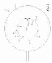 Fig. 04 - Rupture disc having laser-defined line of weakness with disc opening and anti-fragmentation control structures