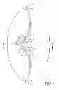 Fig. 05 - Rupture disc having laser-defined line of weakness with disc opening and anti-fragmentation control structures