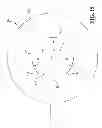 Fig. 16 - Rupture disc having laser-defined line of weakness with disc opening and anti-fragmentation control structures