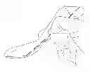 Fig. 01 - Foldable spoon and method for making