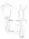 Fig. 22 - Foldable spoon and method for making