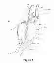 Fig. 02 - Harness for skis