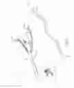 Fig. 09 - Staple forming features for surgical stapling instrument