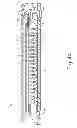 Fig. 05 - Distal tip features for end effector of surgical instrument