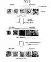 Fig. 05 - Device for optically reading information codes