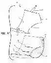 Fig. 05 - Tandem thrust reverser with sliding rails